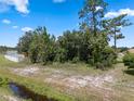 Picturesque land, lush trees, and scenic views of the natural surroundings at 670 Cotulla Dr, Kissimmee, FL 34758