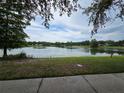 Beautiful lake view surrounded by lush trees and blue skies with a grassy shoreline at 14781 Old Thicket Trce, Winter Garden, FL 34787