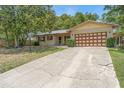 Classic single-story brick home with a long cracked driveway, brown shutters, and a mature tree in the yard at 244 Angeles Rd, Debary, FL 32713