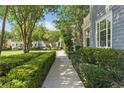 Scenic sidewalk lined with manicured hedges and lush greenery in a residential neighborhood at 5262 Baskin St, Orlando, FL 32814