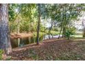 Scenic view of the water's edge, framed by trees and vegetation, showcasing the natural beauty at 205 Elaine Pl, Chuluota, FL 32766