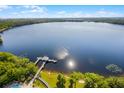 An aerial view of the lake, pier, and surrounding trees and foliage at 13427 Blue Heron Beach Dr # 2003, Orlando, FL 32821