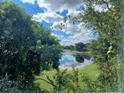 Scenic water view framed by lush greenery and a beautiful sky at 950 Vanessa Ct # F, Port Orange, FL 32127