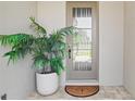 Charming front entry with decorative plant and an elegant glass-panel front door at 15947 Vetta Dr, Bella Collina, FL 34756