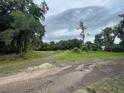 The parcel of land showcases potential with a blend of open space and mature trees at 31520 Colby Pl, Sorrento, FL 32776