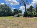 Extensive lot with mature trees and a glimpse of a small house in the background at 31520 Colby Pl, Sorrento, FL 32776
