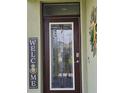 Stylish front door with decorative glass panel and modern hardware at 3371 Yellowtop Loop, Clermont, FL 34714