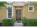 Inviting entryway with dark wood door, plants and manicured bushes at 14025 Oasis Springs Ln # 901, Windermere, FL 34786