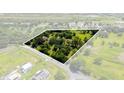 Aerial view of the property highlighting its boundary and lush greenery, providing a sense of privacy at 1391 Terry Ln, Kissimmee, FL 34744