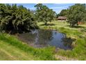 A tranquil pond bordered by lush vegetation, creating a serene and natural ambiance for the property at 1391 Terry Ln, Kissimmee, FL 34744