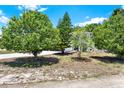 View of home behind trees on large front yard with spacious driveway to the left at 809 Deer Glen Ct, Fruitland Park, FL 34731