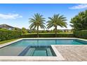Resort-style pool with a spa, featuring two palm trees and a view of neighboring houses behind a tall, manicured green hedge at 11707 Hampstead St, Windermere, FL 34786