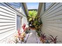 View of a charming walkway with vibrant foliage and white stone accents at 140 Deer Lake Cir, Ormond Beach, FL 32174