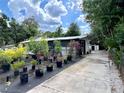 Backyard featuring a covered porch and lots of potted plants along a concrete path at 40431 Country Rd, Eustis, FL 32736