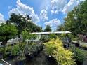 Lush backyard filled with diverse potted plants, creating a serene and inviting outdoor space at 40431 Country Rd, Eustis, FL 32736