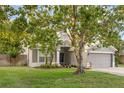 View of the exterior of the home with a large tree in the front yard and a two-car garage at 1245 Reagans Reserve Blvd, Apopka, FL 32712