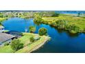 Aerial view of the property and lake showing the screened in pool area and lush landscaping at 15510 Lake Burnett Shore Ct, Winter Garden, FL 34787