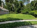 Lush front lawn provides a large green space at the front of the property at 2143 Autumn View Dr, Orlando, FL 32825