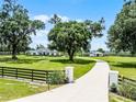 A picturesque view of the home with a long driveway, a lush lawn, and mature shade trees enhancing the property's curb appeal at 5478 Nw 153Rd Ct, Morriston, FL 32668