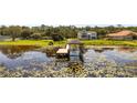 Picturesque backyard with a covered dock on a lily pad covered pond surrounded by mature trees at 7706 Ficquette Rd, Windermere, FL 34786