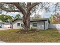Side yard showcasing a mature tree providing shade and character to the property, complementing the home's exterior at 540 Diane Cir, Casselberry, FL 32707