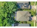 Aerial view of the property, showcasing the backyard patio and lush surrounding greenery at 33919 Terragona Dr, Sorrento, FL 32776