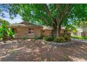 Traditional brick home with an expansive front yard landscaping and mature shade tree at 817 Big Buck Cir, Winter Springs, FL 32708