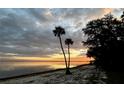 Scenic waterfront view featuring palm trees silhouetted against a breathtaking sunset sky at 2518 Fort Lane Rd, Geneva, FL 32732