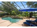 Beautiful screened-in pool area featuring rock features and lush tropical landscaping at 490 Wekiva Preserve Dr, Apopka, FL 32712