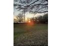 Large, grassy backyard at 725 Ashworth Overlook Dr # C, Apopka, FL 32712