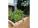 Home's garden featuring raised beds with thriving plants, adding natural beauty to the outdoor space at 238 Lake Dr, Orlando, FL 32835