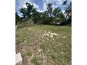 A view of the backyard and the rear property line, showing grass and overgrown brush at 509 Lemon St, Auburndale, FL 33823