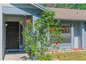 Close-up of the home's entry way featuring a black front door and hibiscus bush at 3150 Rider Pl, Orlando, FL 32817