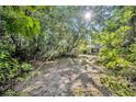 Backyard with mature trees at 171 Cortland Ave, Winter Park, FL 32789