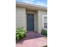 View of the home's front door with a small plant, peephole, and security camera at 8141 Golden Chickasaw Cir, Orlando, FL 32825