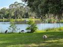 Picturesque backyard with cranes by the lake, offering tranquility and natural beauty at 1405 Periwinkle Ave, Deland, FL 32724