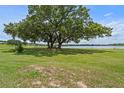 Expansive backyard featuring mature trees and a serene view of the lake at 16729 Tall Grass Ln, Clermont, FL 34711