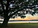 Scenic sunset lake view featuring a mature tree and lush green lawn at 16729 Tall Grass Ln, Clermont, FL 34711