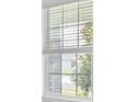 Bright window with natural light and view of the outdoors at 2524 Raghav Trl, Tavares, FL 32778