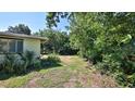 Side yard with ample green space surrounded by mature trees and lush greenery at 60 Palmetto Dr, Ormond Beach, FL 32176