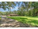 Property featuring expansive green space and trees offering privacy and beauty, complemented by long driveway at 7205 June Bug Ln, Orlando, FL 32818