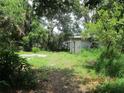 Overgrown backyard with lush greenery, mature trees, and an outbuilding at 4231 Raleigh St, Orlando, FL 32811