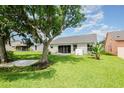 Spacious backyard with mature trees and a well-maintained lawn, offering a serene outdoor space at 685 Middlebury Loop, New Smyrna Beach, FL 32168