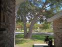 A picturesque view of a lush front yard, lined with flowering trees, as seen from the porch at 2181 Wekiwa Oaks Dr, Apopka, FL 32703