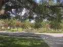 A tree lined street, with a view of a pond and trees with pink blossoms in the distance at 2181 Wekiwa Oaks Dr, Apopka, FL 32703