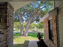 Inviting view from the porch framing a huge tree and a glimpse of the serene lake at 2181 Wekiwa Oaks Dr, Apopka, FL 32703