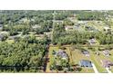 An aerial view showcases this property's expansive lot, surrounded by lush greenery and mature trees at 19562 Majestic St, Orlando, FL 32833
