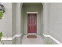 Front entrance with a dark wooden door framed by stucco at 7033 Oakwood St, Davenport, FL 33837
