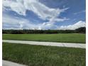 Expansive green field under a bright blue sky filled with fluffy clouds at 15208 Avenue Of The Arbors, Winter Garden, FL 34787