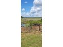 Beautiful backyard view featuring lush greenery and a scenic wetland expanse at 1717 Se 190Th Ave, Silver Springs, FL 34488